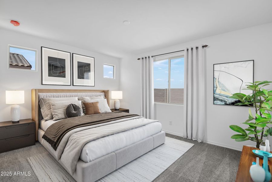 PRIMARY SUITE_Final 02