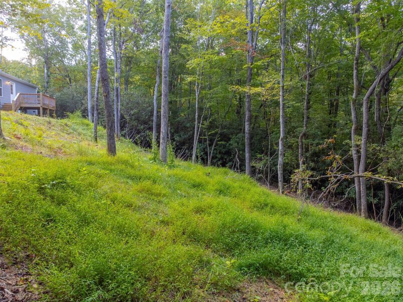 Natural landscape and outdoor views near  in Hayesville (Image 44).