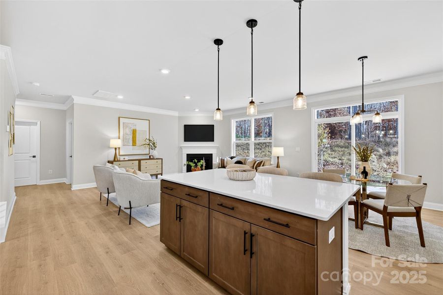 Furnished interior view inside a new home in Falls Cove, Troutman (Image 9).