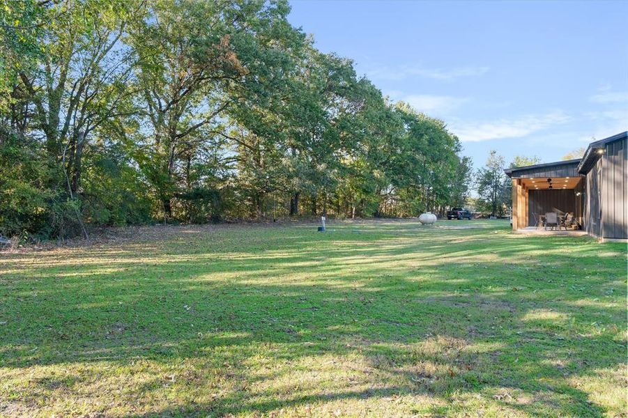 Natural landscape and outdoor views near  in Ben Wheeler (Image 33).