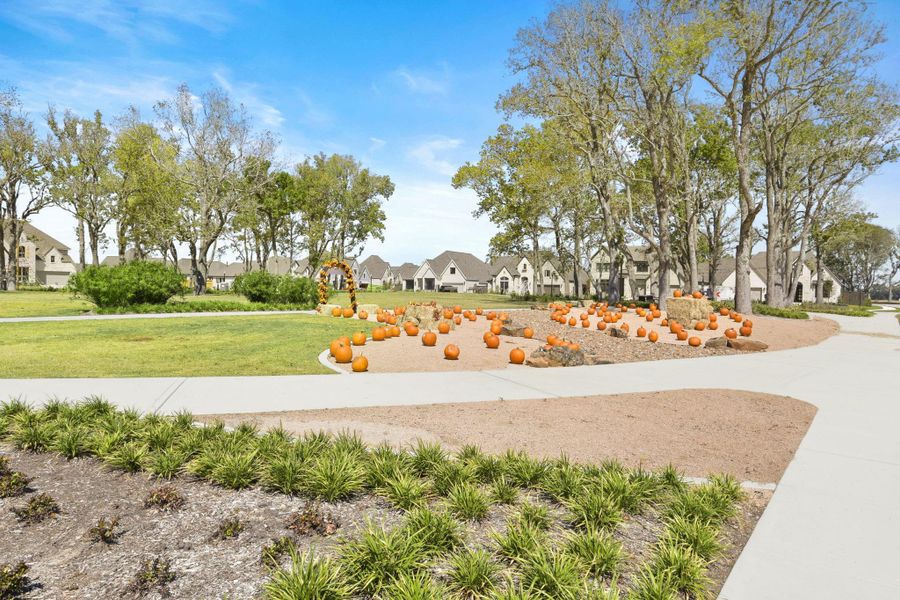 Image 45 of a home in Riceland: 42ft. lots.