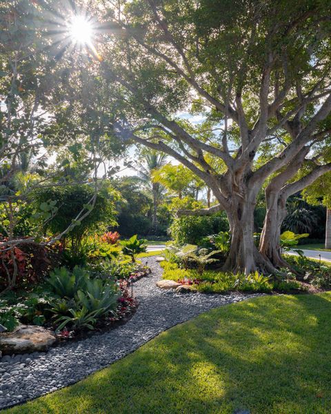 Natural landscape and outdoor views near  in Hobe Sound (Image 27).