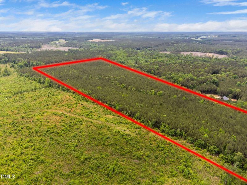 3-web-or-mls-s-plank-rd 3-web-or-mls-s-plank-rd