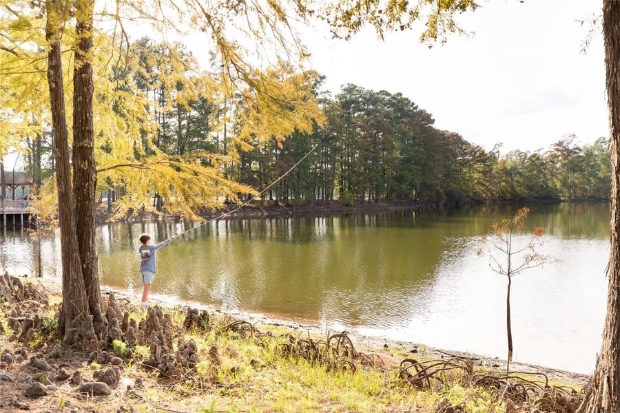 Image 19 of a home in Grand Central Park Deer Lake Estates.