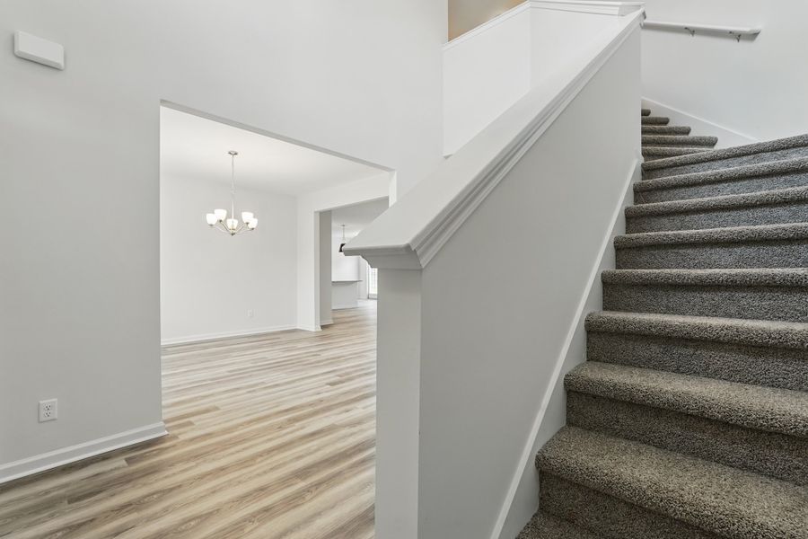 Image 52 representing the The Screven - Covenant by RTS Homes in Doctor's Creek, Ludowici, GA.