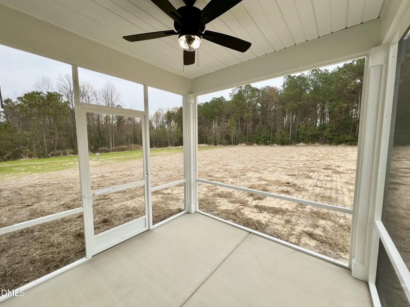 IMG_6125 2 IMG_6125 2