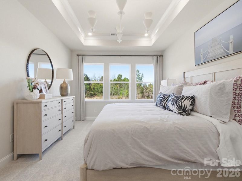 Primary bedroom with tray ceiling