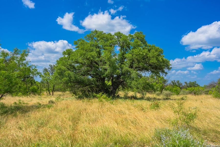 Natural landscape and outdoor views near in Menard (Image 31). Natural landscape and outdoor views near in Menard (Image 31).