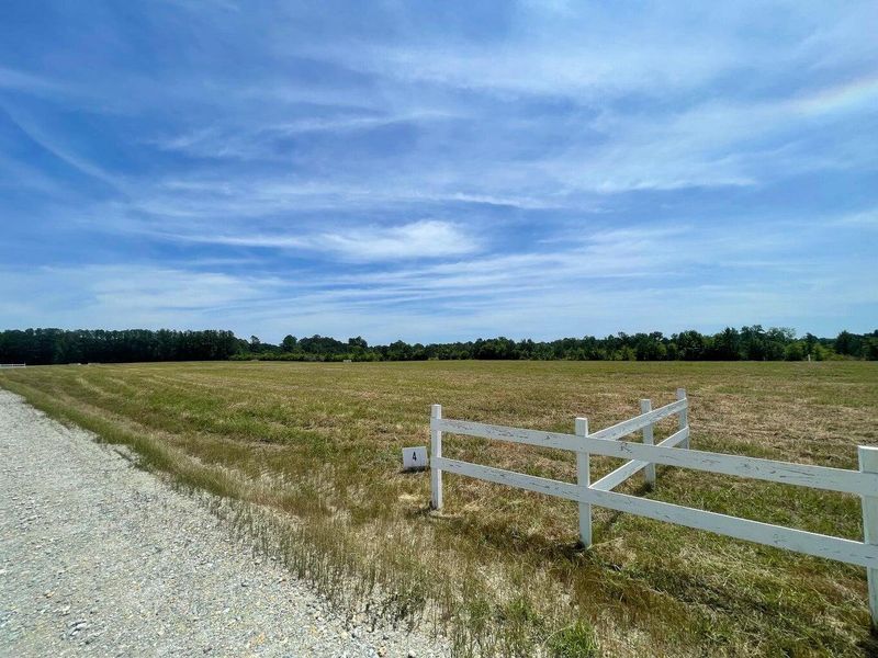 Natural landscape and outdoor views near  in Cross (Image 35).