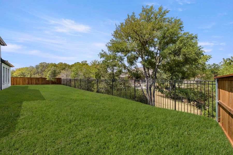 Backyard Backyard