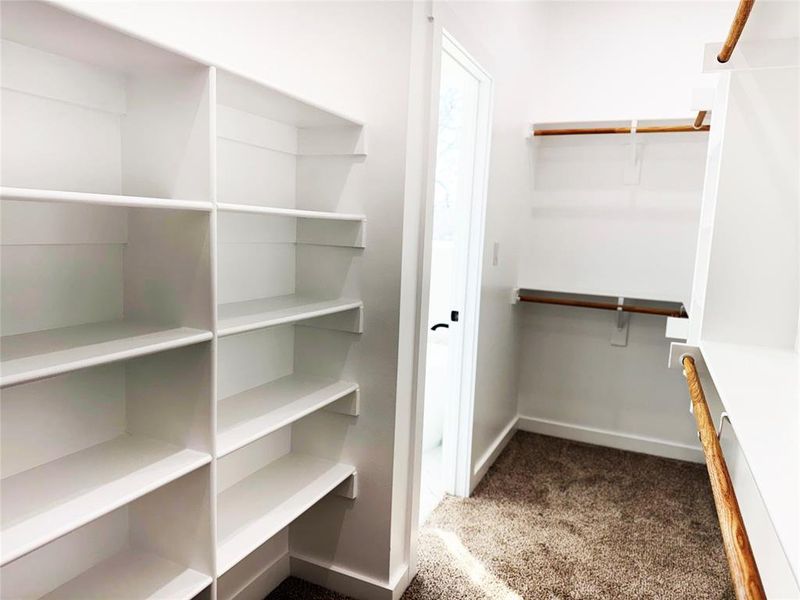 Spacious closet featuring dark carpet