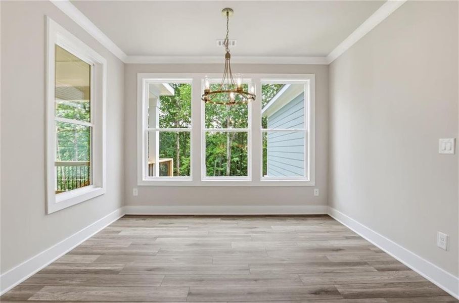 Spacious, unfurnished interior of a new home in , Clarkesville (Image 52).