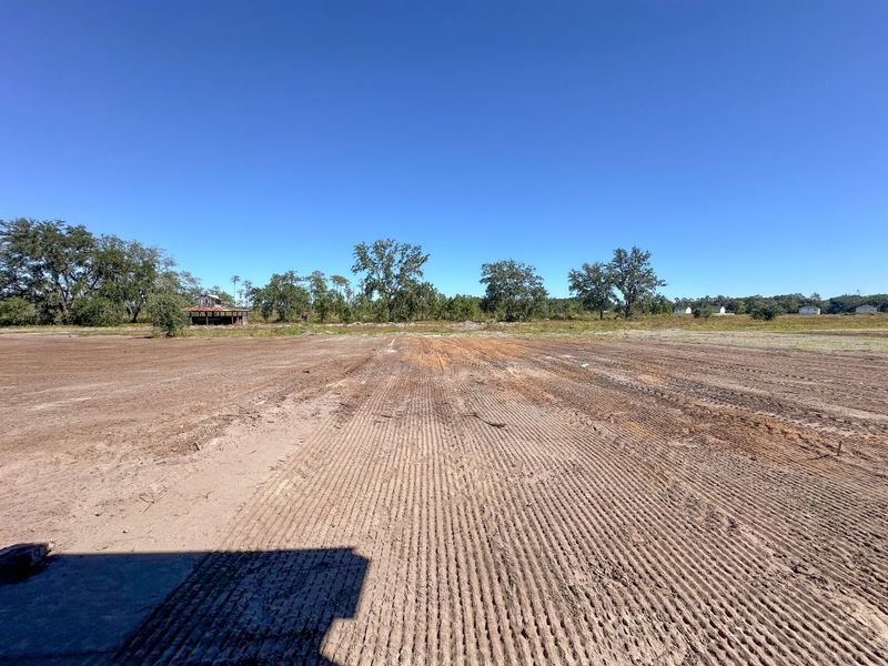 Site preparation for new homesites in Tibet Road at Sassafras, Allenhurst (Image 20).