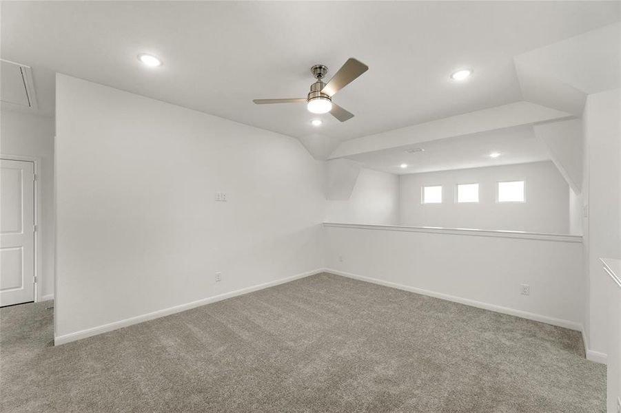 16_Grapevine_Representative Photo 16_Grapevine_Representative Photo