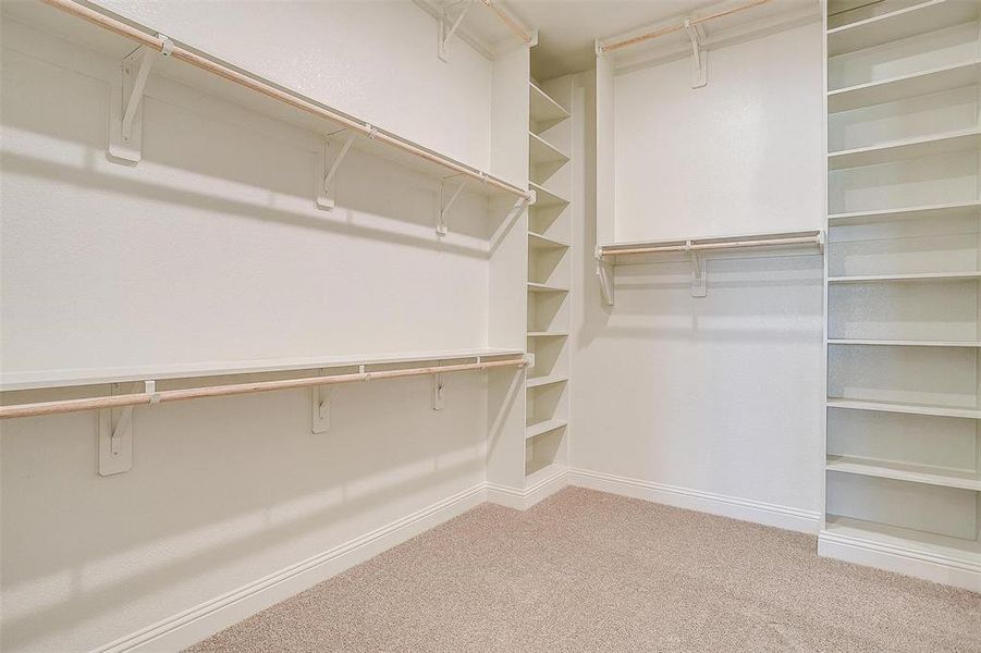 Walk in closet featuring carpet floors