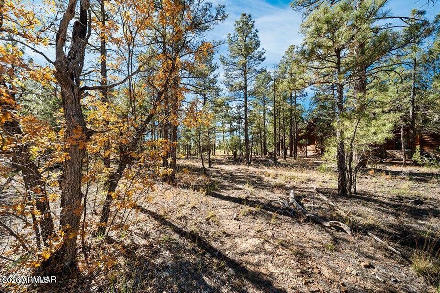 20251110205705746649000000-o 20251110205705746649000000-o