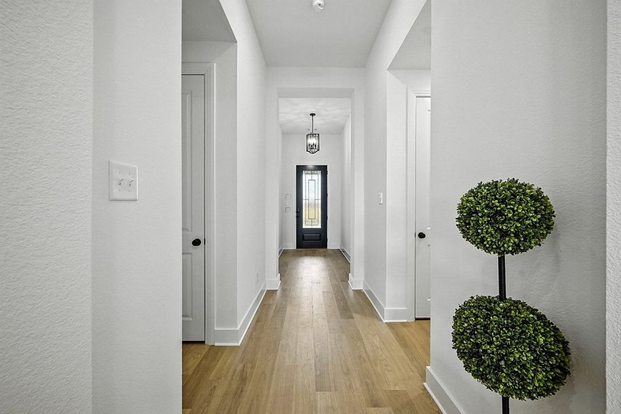 Entry Entry