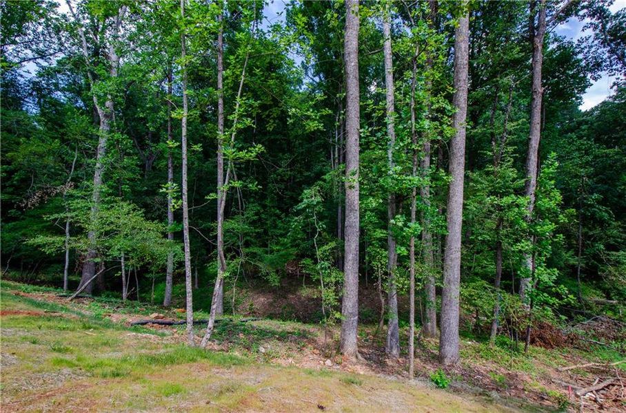 Spacious, unfurnished interior of a new home in , Hoschton (Image 45). Spacious, unfurnished interior of a new home in , Hoschton (Image 45).
