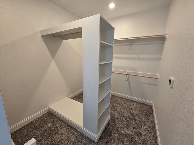 Walk in closet featuring dark colored carpet