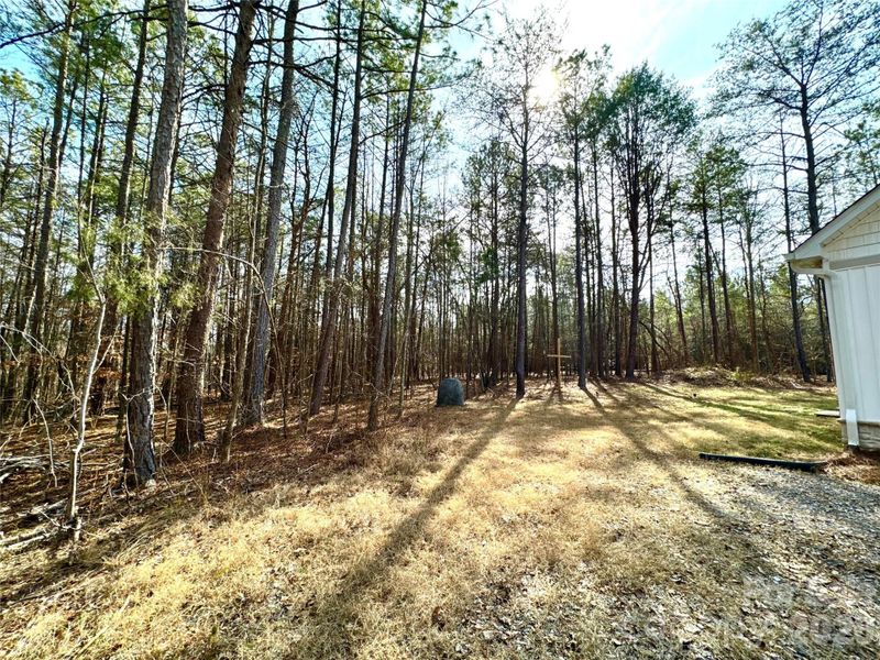 Natural landscape and outdoor views near in York (Image 40). Natural landscape and outdoor views near in York (Image 40).