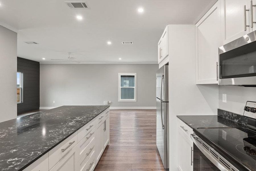 Kitchen with stainless steel appliances, white cabinets, dark stone counters, recessed lighting, and dark wood-type flooring
