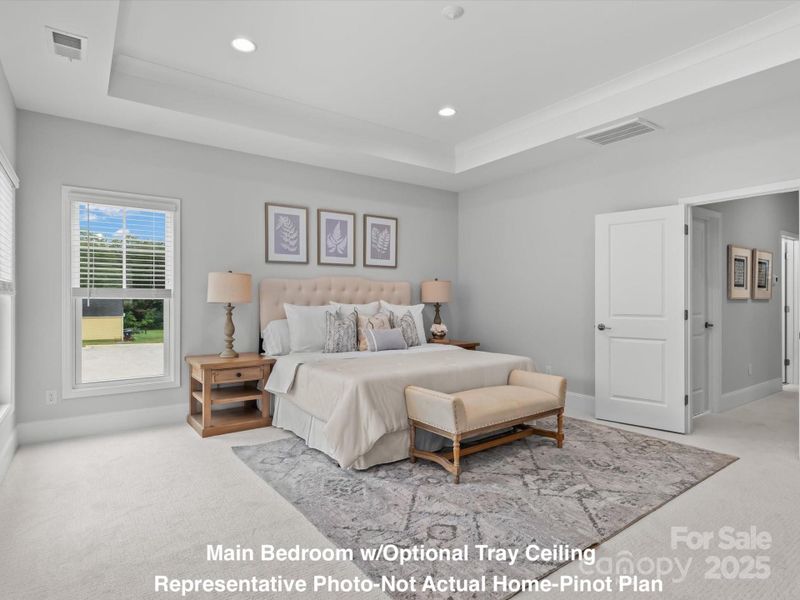 Main Bedroom with Optional Tray Ceiling-Pinot Plan-Walk23