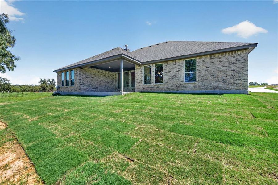 Expansive backyard featuring freshly laid sod and a covered patio