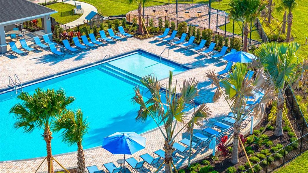 Community amenities in Indigo Creek, Apollo Beach (Image 52).