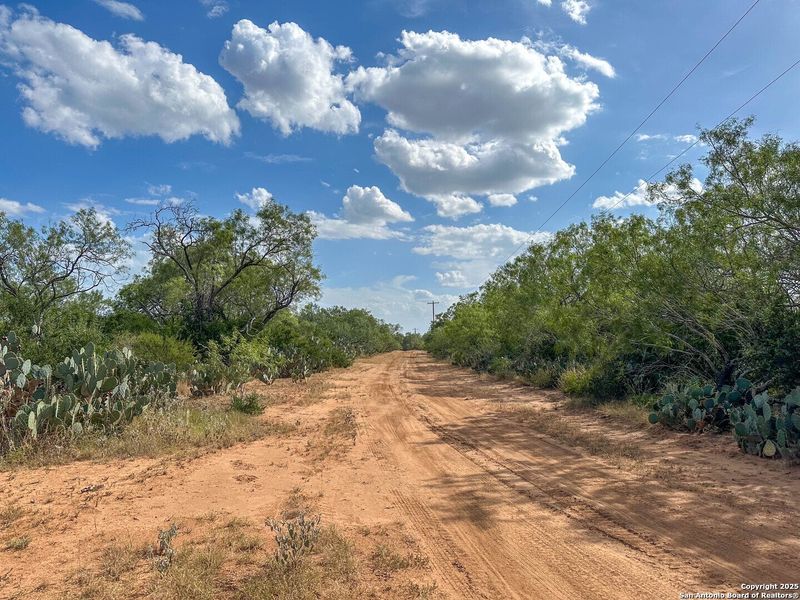 Natural landscape and outdoor views near  in Jourdanton (Image 27).