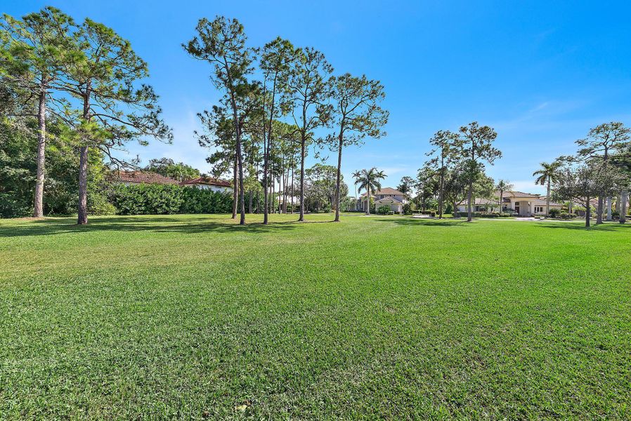 Natural landscape and outdoor views near  in West Palm Beach (Image 55).