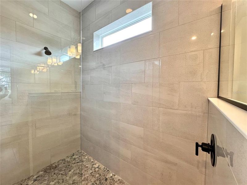 Primary Bath Walk-in Shower