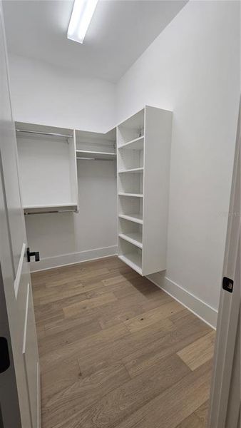 Spacious, unfurnished interior of a new home in , Tampa (Image 28).