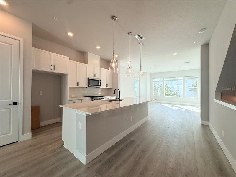 Furnished interior view inside a new home in Towns at Union, St. Petersburg (Image 3).