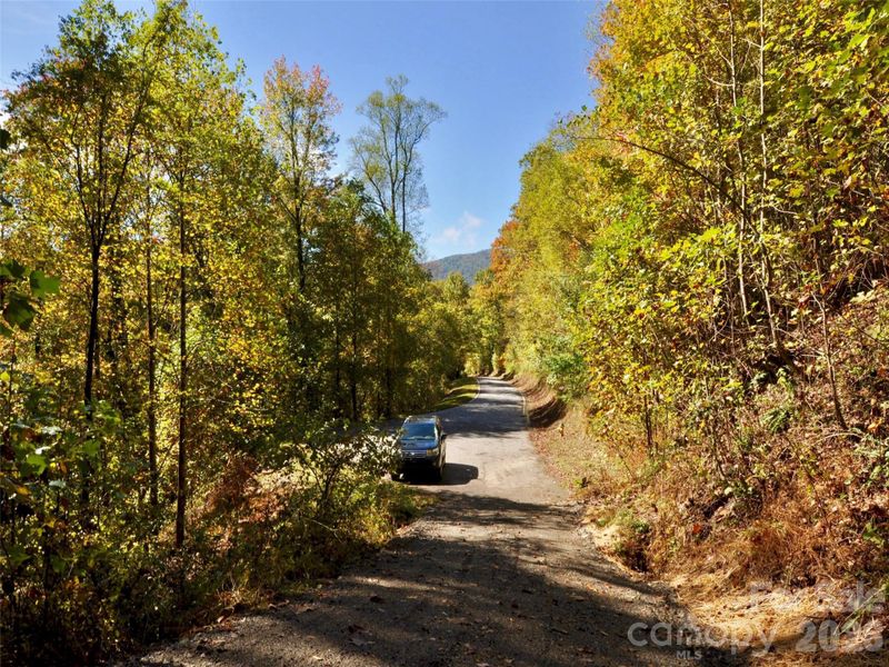Natural landscape and outdoor views near in Arden (Image 13). Natural landscape and outdoor views near in Arden (Image 13).