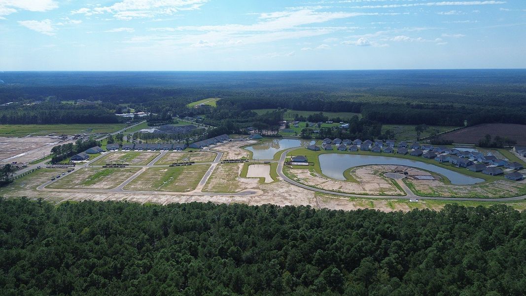 Site preparation for new homesites in Brunswick Plantation, Ash (Image 14). Site preparation for new homesites in Brunswick Plantation, Ash (Image 14).