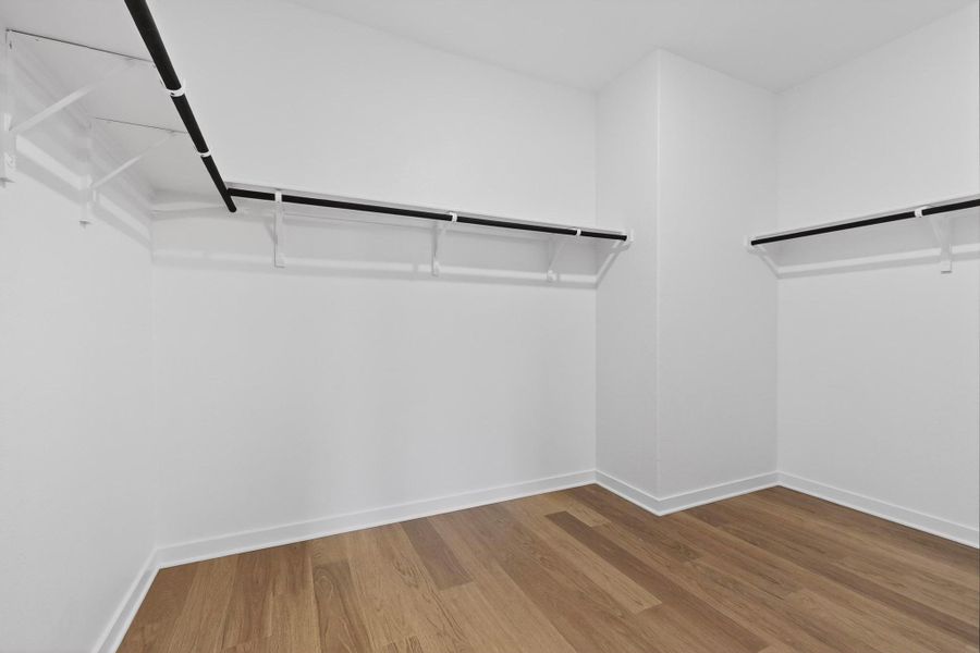 Walk in closet featuring dark wood finished floors
