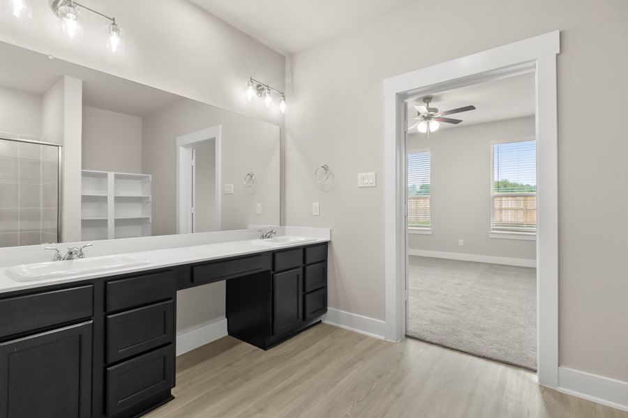 Tupelo II Representative Photography* Tupelo II Representative Photography*