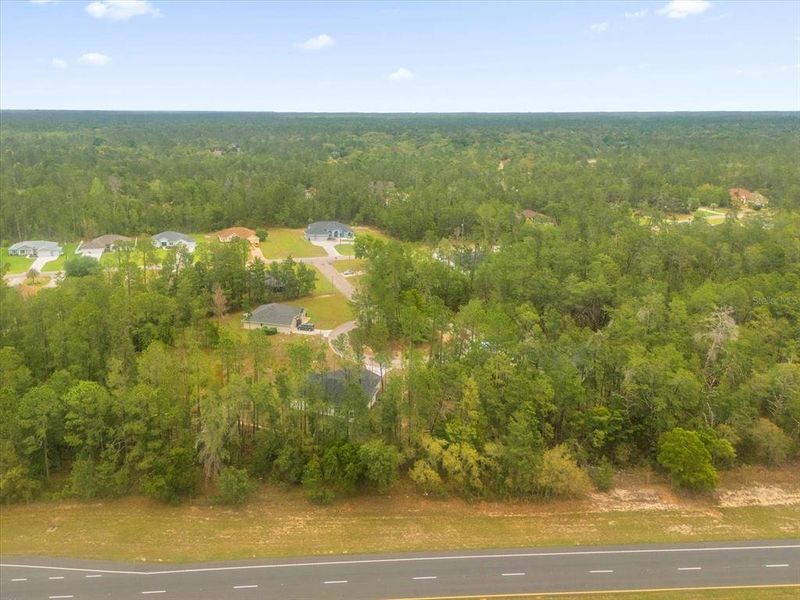 Natural landscape and outdoor views near  in Homosassa (Image 29).