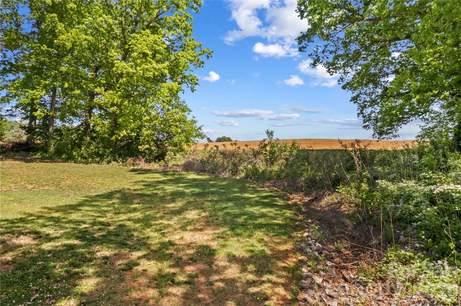 Natural landscape and outdoor views near  in Statesville (Image 32).