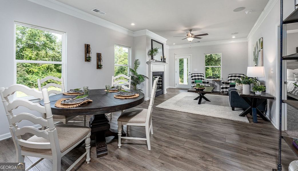 Furnished interior view inside a new home in Bryson Farms, Byron (Image 16).