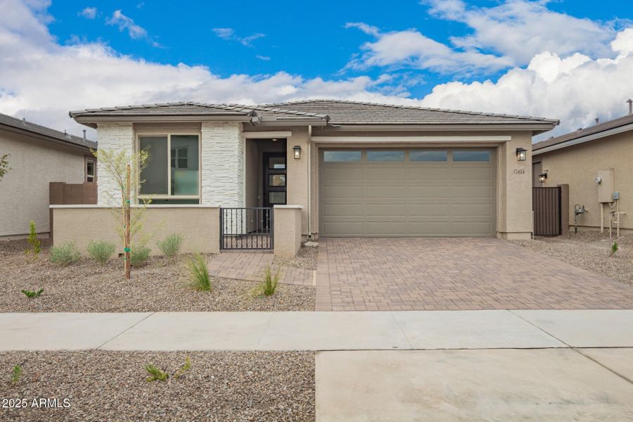 01 - Vogel 01 - Vogel