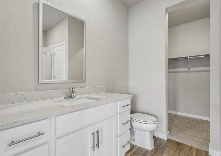 The master bathroom has a large vanity and a step in shower,