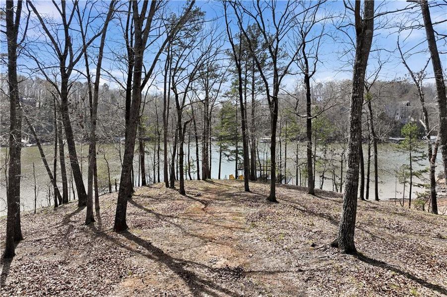 Natural landscape and outdoor views near  in Gainesville (Image 29).