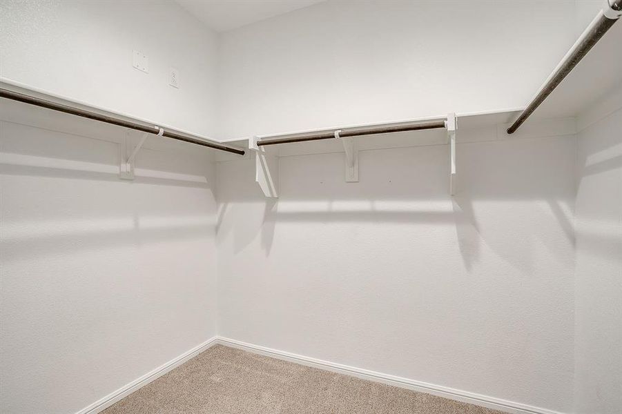 Spacious closet featuring carpet