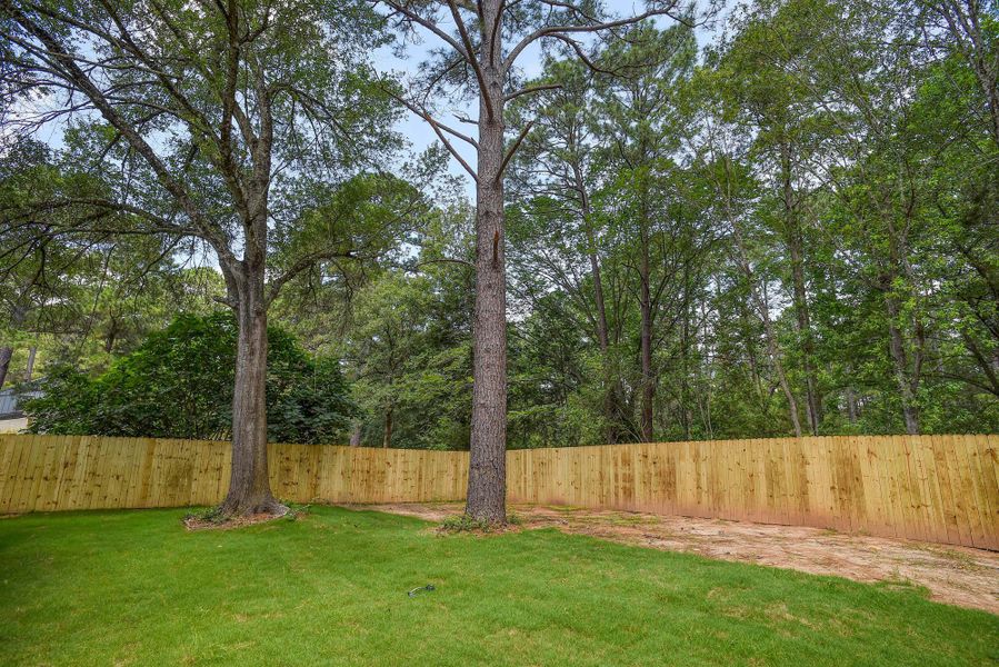 Backyard Backyard