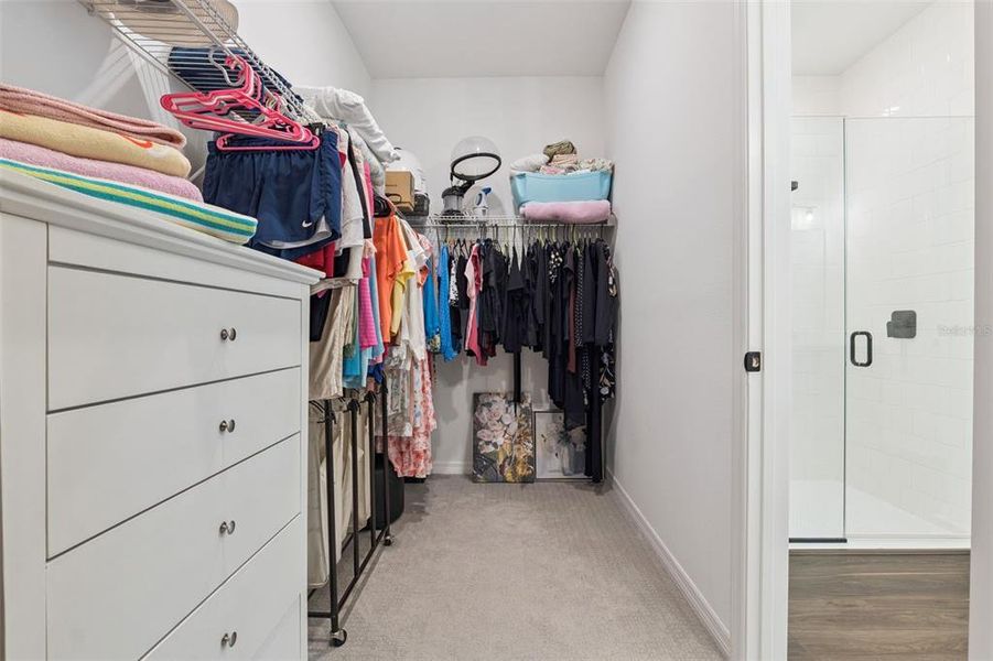 Furnished interior view inside a new home in , Minneola (Image 18).