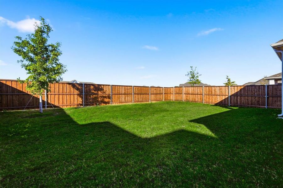 View of fenced backyard