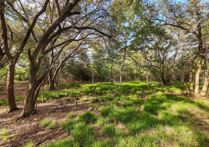 Natural landscape and outdoor views near  in Edisto Island (Image 59).