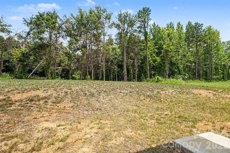 Natural landscape and outdoor views near  in Charlotte (Image 29).