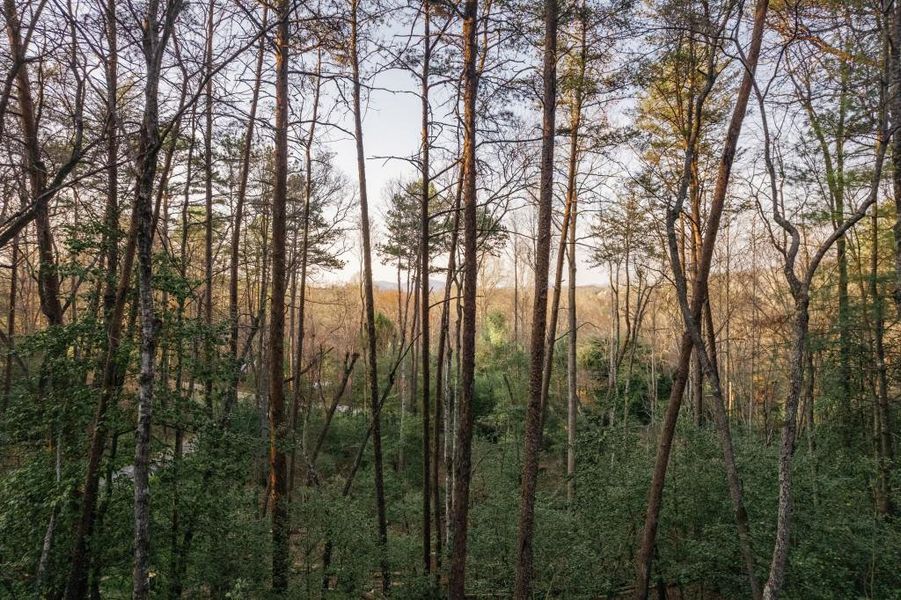 Natural landscape and outdoor views near  in Mineral Bluff (Image 37).